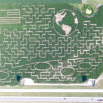 Shryock Farm Corn Maze