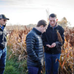 Three men stand in a field of tall plants, examining the crops. Two are wearing dark jackets and the other, a puffer jacket. One man shows something in his hand to the others. Its a sunny day with a clear sky.
