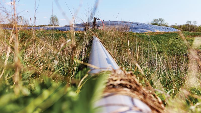 The pipeline runs directly from the covered lagoons to the purification equipment.