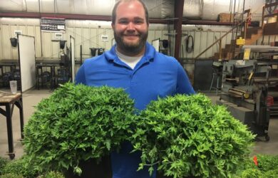 Avery Deevers Ag Ed in a blue shirt holds two large potted green plants inside an industrial or greenhouse setting.