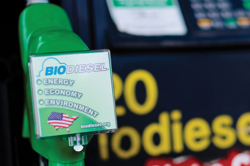 Biodiesel Pump