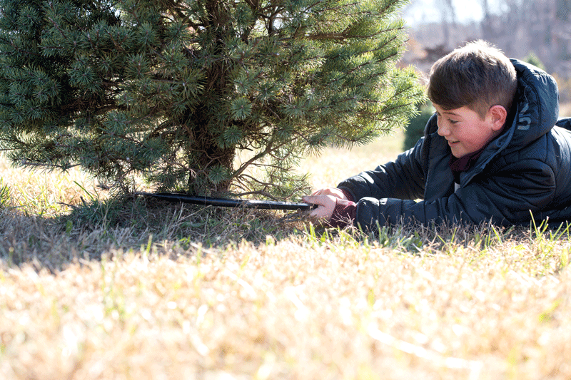 A young boy in a jacket and scarf lies on the ground, sawing a small evergreen tree at its base in a sunny field.