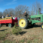 A green tractor pulls a red wagon labeled Ranch filled with people seated, wearing winter clothes. The tractor is on a grassy field with small trees and bare trees in the background under a clear blue sky.