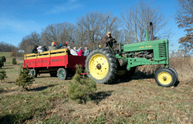 A green tractor pulls a red wagon labeled Ranch filled with people seated, wearing winter clothes. The tractor is on a grassy field with small trees and bare trees in the background under a clear blue sky.