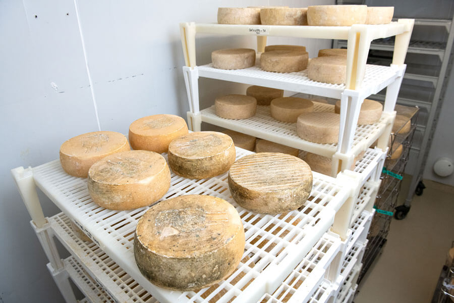 One of Green Dirt's popular cheeses is Dirt Lover, a bloomy rind sheep cheese with a light coating of vegetable ash.
