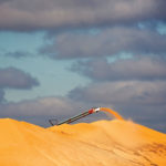 A conveyor belt pours grain onto a large yellow mound under a sky filled with grayish clouds. The scene is illuminated by warm sunlight.