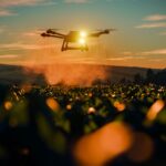 A drone sprays crops with agricultural chemicals at sunset, flying low over a green field with the sun shining through its frame and a mist visible around it.
