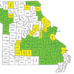 Map of Missouri counties, some highlighted in green and yellow. Green areas cover the western and parts of the central region. Yellow areas are sporadically scattered, mostly in the north-central region. The rest are unshaded.