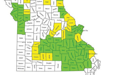 Map of Missouri counties, some highlighted in green and yellow. Green areas cover the western and parts of the central region. Yellow areas are sporadically scattered, mostly in the north-central region. The rest are unshaded.