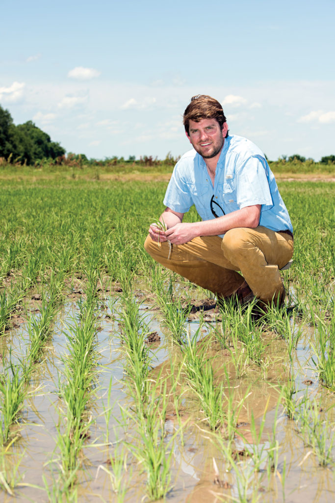 Rice is a tough crop to grow, but it remains an important component of the crop mix for Mid-South farmers like Eric Rinehart. Photo by Jason Jenkins.