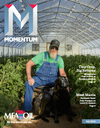 Momentum - Fall 2020