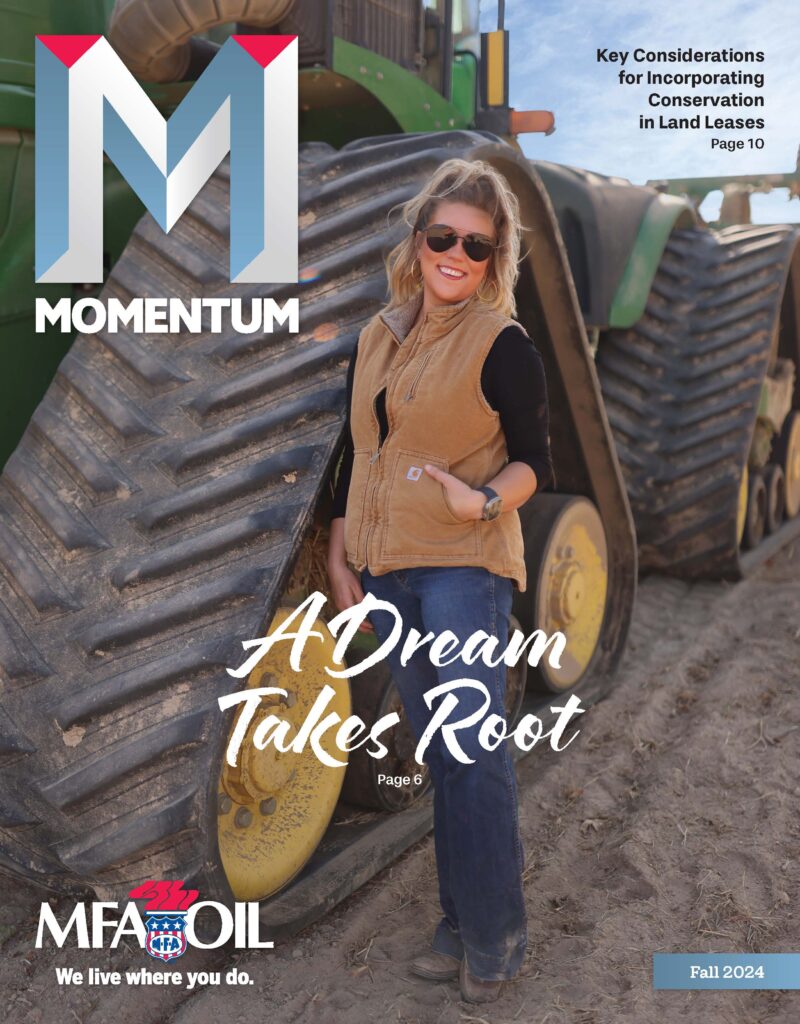 Momentum Magazine Fall 2024 Cover Image A Dream Takes Root
