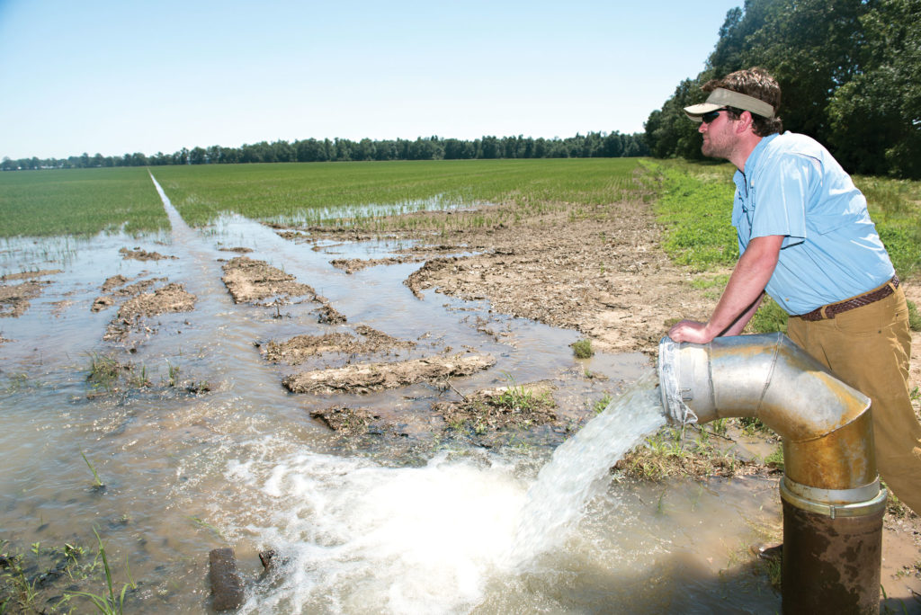 Eric Rinehart releases water for a controlled flooding in his rice field in southeast Missouri.