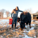Traves Merrick, wearing a cap and jacket, stands in a snowy field, holding a red bucket and petting a black cow. Other cows are nearby. A barn is visible in the background under a clear sky.