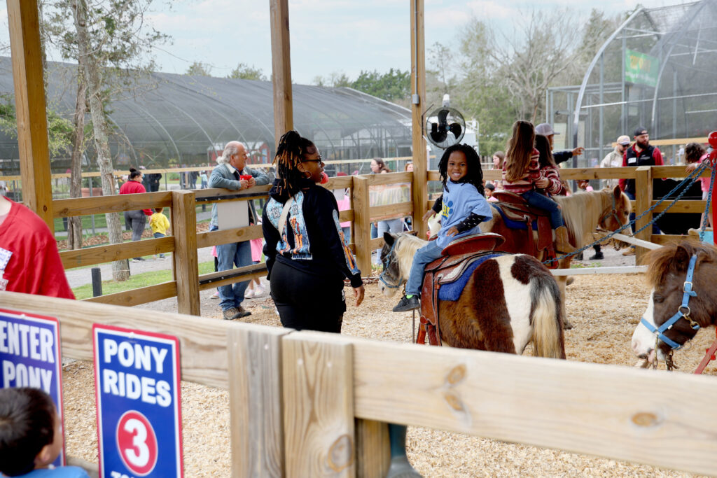 Ariana Leonard walks alongside her son Ace as he enjoys a pony ride.