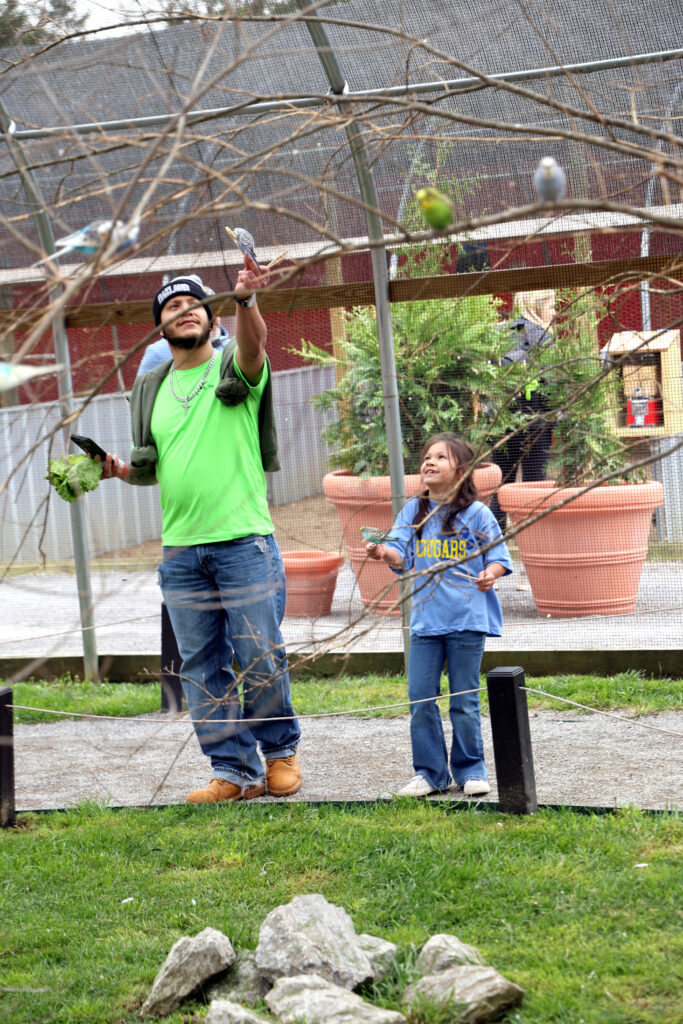 Bryan Cerecedo and his daughter Talia hold out sticks of birdseed in the parakeet enclosure.
