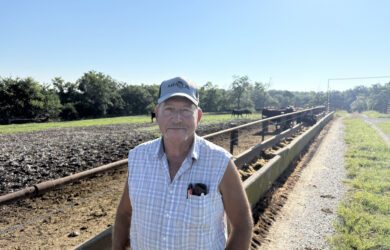 Steve Huth in a sleeveless plaid shirt and cap stands smiling by a cattle pen on a sunny day, with cows and trees visible in the background.