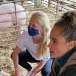 Two people are observing animals in a pen. One person is wearing a blue face mask and a white shirt, while the other wears a jacket. There is straw on the ground, and a pig can be seen in the background.