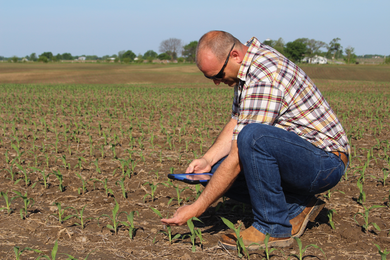 James Wilson of Hartung Brothers Farms carries his iPad with him to review farm data and to take notes as he scouts crops. Wilson says analyzing his family’s farm data and applying the insights he gains from it has helped him push yields higher and increase profitability of the farm.