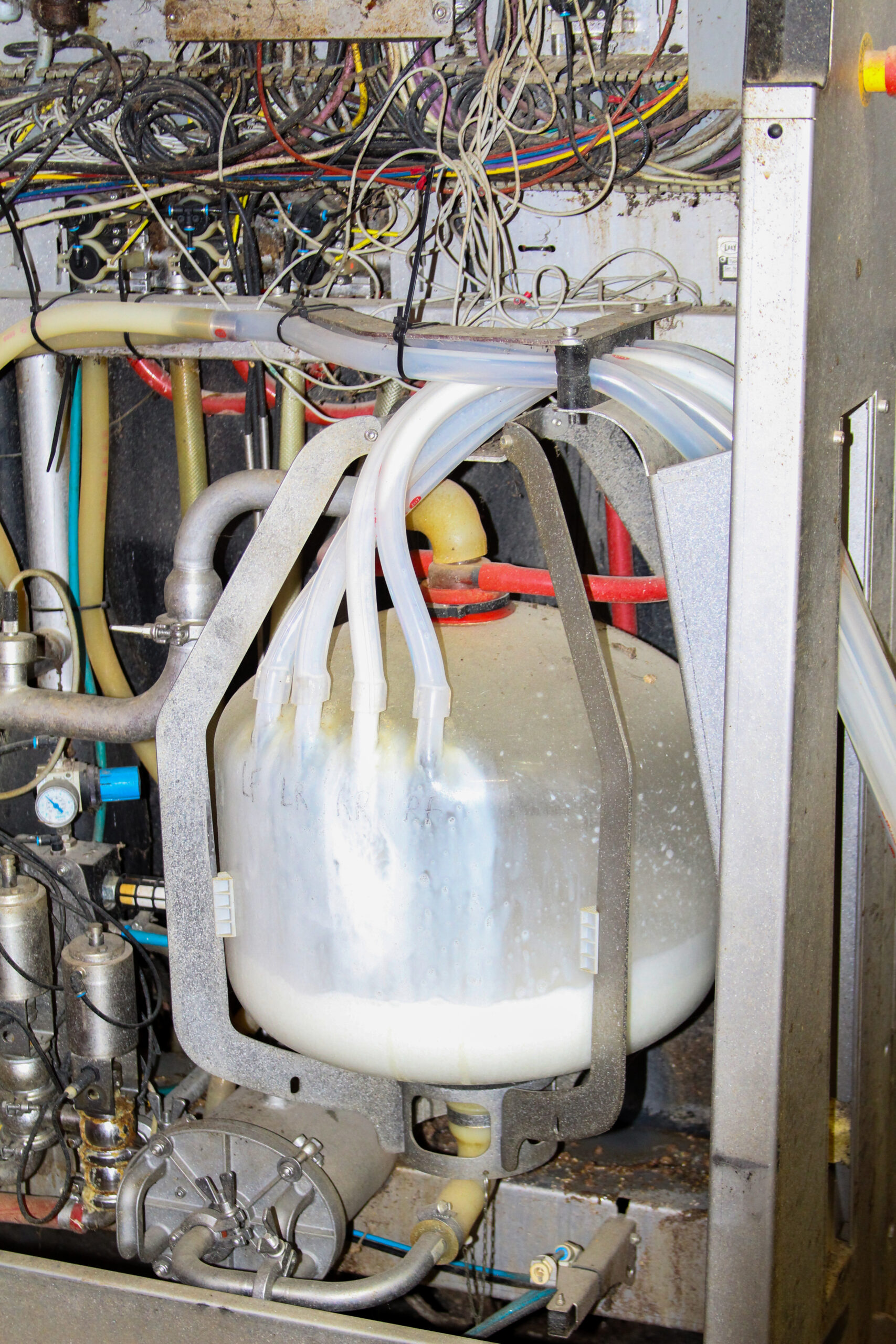 A photo of robotic milkers. The image is a white container with milk connected to several other tubes and machinery. 