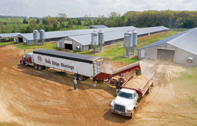 Oak Ridge Shavings delivers fresh bedding to a poultry farm in Barry County, Missouri. One 53-foot-long semitrailer holds enough bedding to cover the floor of a 40-by-400-foot barn. Photo by Jason Jenkins.