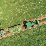 Aerial view of a green tractor pulling two trailers filled with watermelons through a lush field. Several workers stand nearby, tending to the harvest. The field is divided by a dirt path, surrounded by rows of watermelon plants.