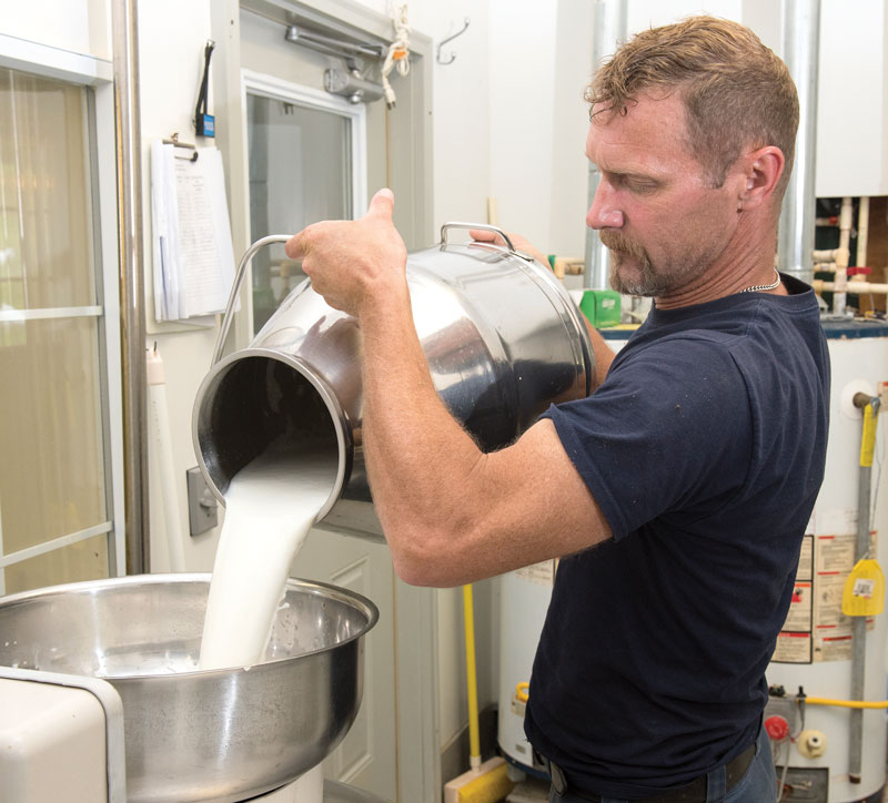 Steve Baetje pours goat's milk into the creamery's bulk tank.