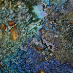 A puddle of water on asphalt with rainbow-like oil patterns and scattered brown leaves. The multicolored swirls create a vibrant contrast with the dark background, while the leaves add an organic touch.