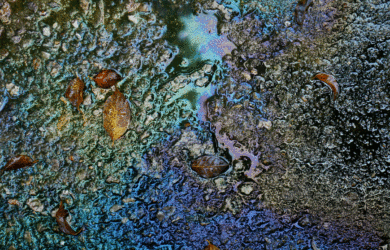 A puddle of water on asphalt with rainbow-like oil patterns and scattered brown leaves. The multicolored swirls create a vibrant contrast with the dark background, while the leaves add an organic touch.