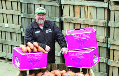 A man wearing a cap and work jacket stands smiling next to large wooden crates filled with sweet potatoes. On top are purple boxes labeled Matthews Sweet Potato Farm, filled with more sweet potatoes.