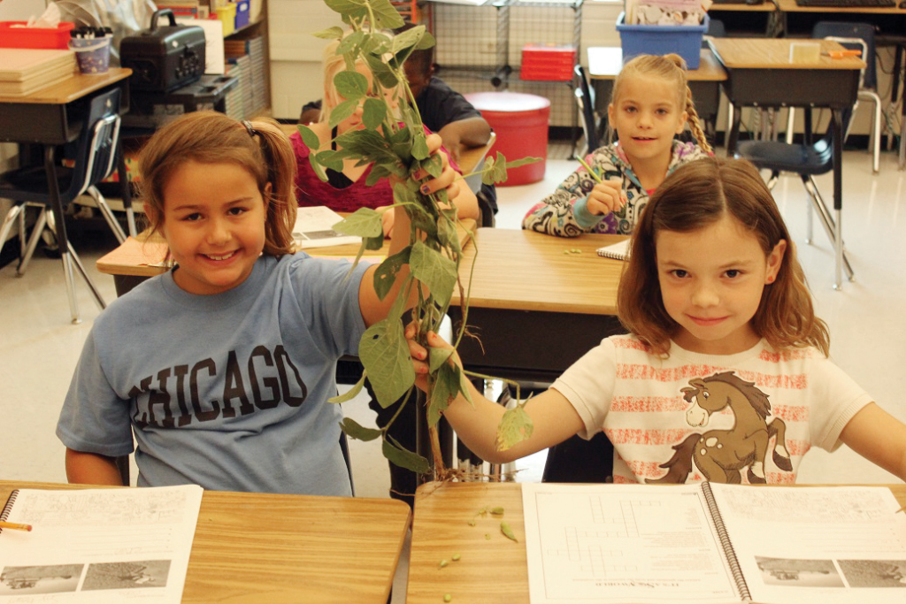 Elementary students explore the parts of a soybean plant while learning about the soybean’s life cycle, soy by-products and the importance of Missouri soybean farmers.