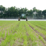 A green tractor equipped with a wide sprayer operates in a lush, green field. The sprayer emits a mist over the crops, and a row of trees lines the background under a cloudy sky.