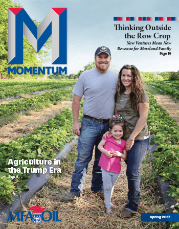 Momentum - Spring 2017