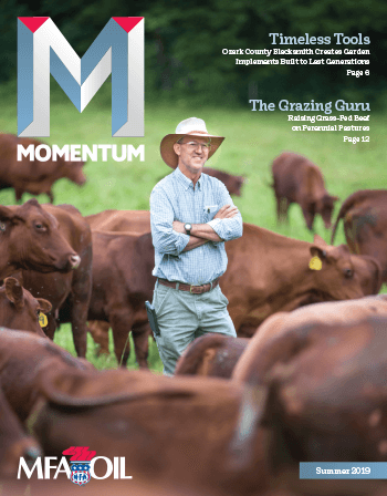 Momentum - Summer 2019