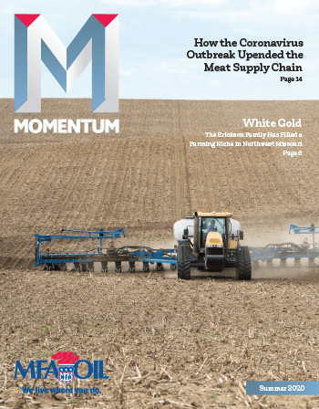 Momentum - Summer 2020