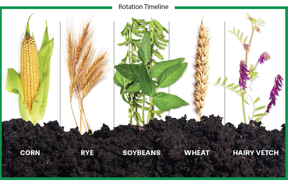 Crop Rotation Timeline