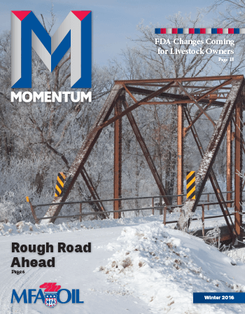 Momentum - Winter 2016