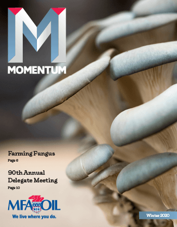 Momentum -Winter 2020