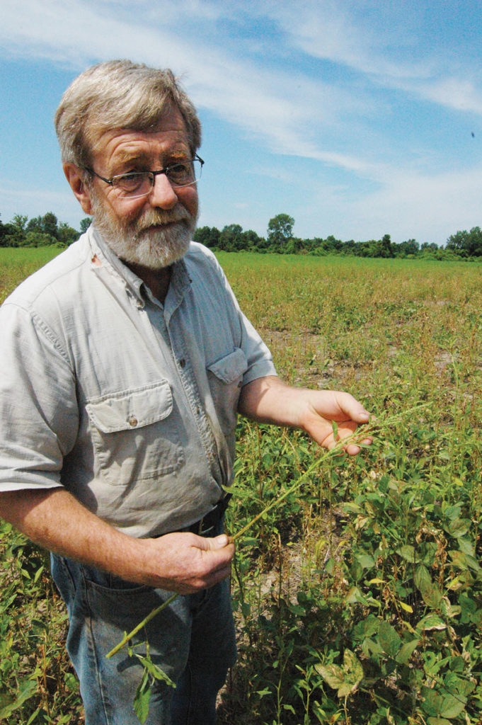 Brown shows waterhemp in a spare stand of soybean crop that received too much rain. Constant rains washed away herbicides that kill the prolific weed.