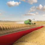 A green combine harvester works in a vast field under a blue sky with scattered clouds. Freshly harvested grains are visible in a red container in the foreground.