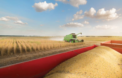 A green combine harvester works in a vast field under a blue sky with scattered clouds. Freshly harvested grains are visible in a red container in the foreground.