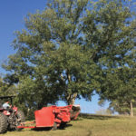 Pecans Propel King Hill Farms Profits