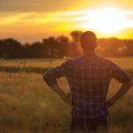 A person in a plaid shirt stands in a field watching the sunset. The warm sunlight illuminates the sky and landscape, casting a serene glow over the scene. Trees are visible on the horizon.