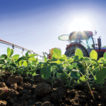 Close-up of green plants growing in a field under bright sunlight, with a red tractor in the background. The tractor is equipped with a spraying arm, indicating agricultural activity. Blue sky overhead.