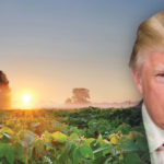 Agriculture in the Trump Era