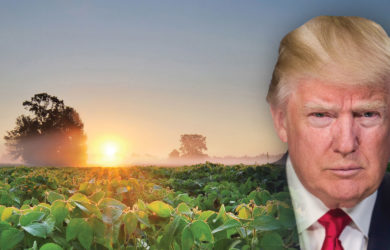 Agriculture in the Trump Era