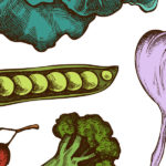 Illustrated vegetables on a white background, including a yellow bell pepper, garlic bulb, pea pod, radish, broccoli, and leafy greens. The illustrations are colorful and detailed.